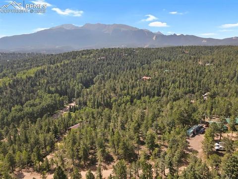 Photo of 132 Elk Lane, Woodland Park, CO 80863 (MLS # 4422631)