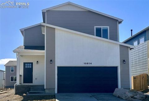 10814 Rolling Ranch Drive Falcon CO 80831