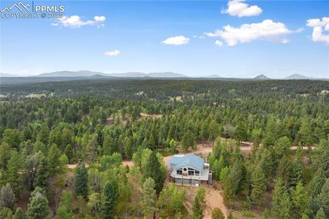 4261 County Road 51 Divide CO 80814