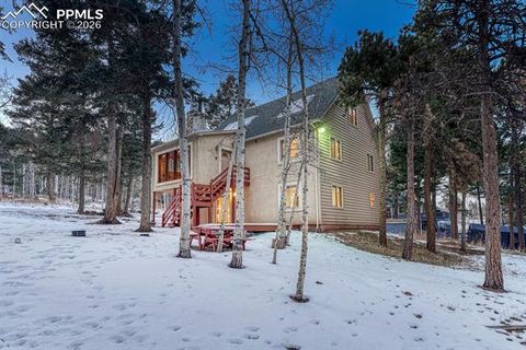 Tiny photo for 909 S West Street, Woodland Park, CO 80863 (MLS # 8637778)