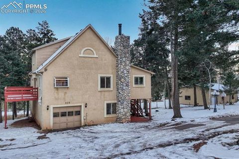 Tiny photo for 909 S West Street, Woodland Park, CO 80863 (MLS # 8637778)