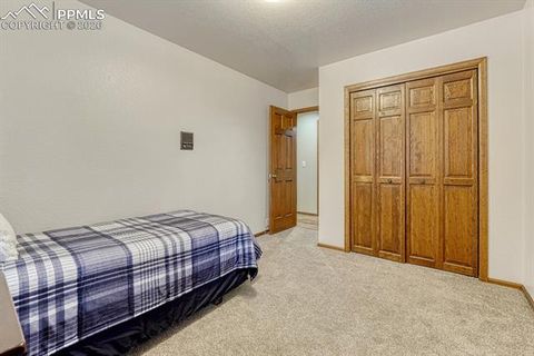 Tiny photo for 909 S West Street, Woodland Park, CO 80863 (MLS # 8637778)