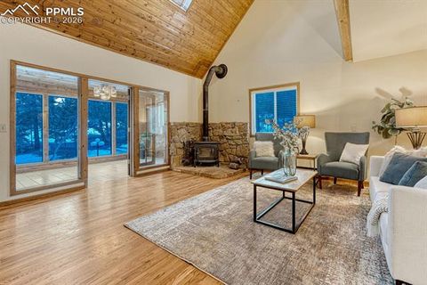 Tiny photo for 909 S West Street, Woodland Park, CO 80863 (MLS # 8637778)