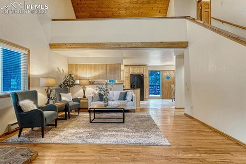 Tiny photo for 909 S West Street, Woodland Park, CO 80863 (MLS # 8637778)