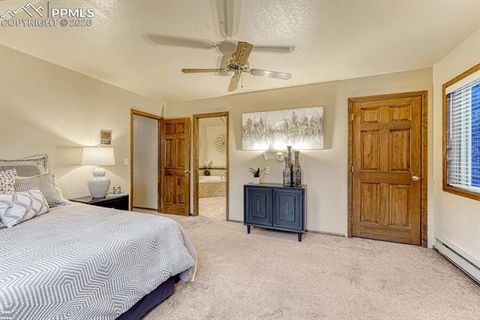 Tiny photo for 909 S West Street, Woodland Park, CO 80863 (MLS # 8637778)