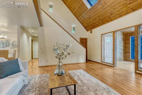 Tiny photo for 909 S West Street, Woodland Park, CO 80863 (MLS # 8637778)