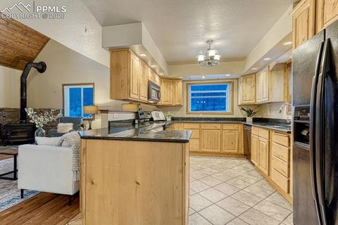 Tiny photo for 909 S West Street, Woodland Park, CO 80863 (MLS # 8637778)