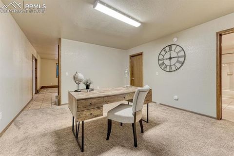 Tiny photo for 909 S West Street, Woodland Park, CO 80863 (MLS # 8637778)