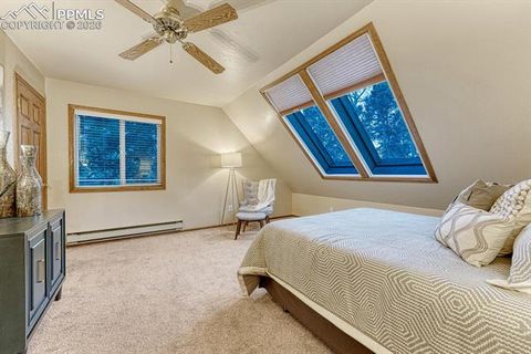 Tiny photo for 909 S West Street, Woodland Park, CO 80863 (MLS # 8637778)