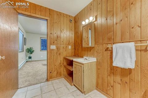 Tiny photo for 909 S West Street, Woodland Park, CO 80863 (MLS # 8637778)