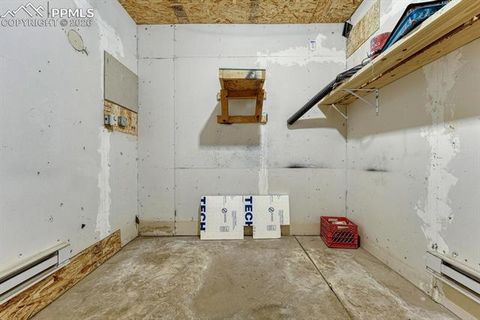 Tiny photo for 909 S West Street, Woodland Park, CO 80863 (MLS # 8637778)