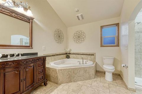 Tiny photo for 909 S West Street, Woodland Park, CO 80863 (MLS # 8637778)