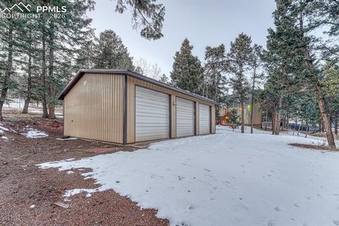 Tiny photo for 909 S West Street, Woodland Park, CO 80863 (MLS # 8637778)