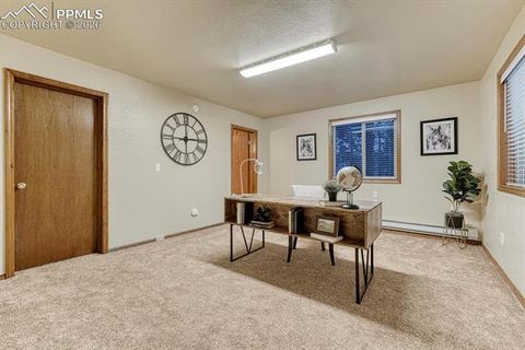 Tiny photo for 909 S West Street, Woodland Park, CO 80863 (MLS # 8637778)