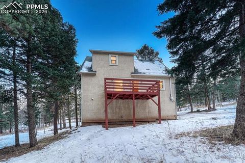 Tiny photo for 909 S West Street, Woodland Park, CO 80863 (MLS # 8637778)