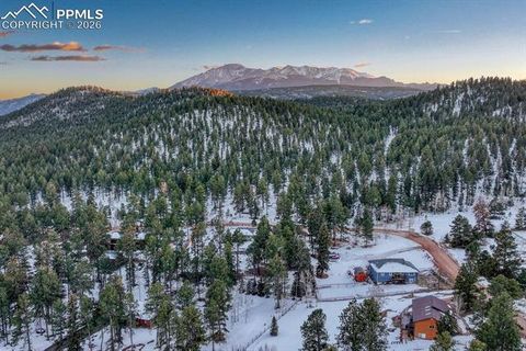 Tiny photo for 909 S West Street, Woodland Park, CO 80863 (MLS # 8637778)