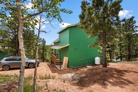 Tiny photo for 80 Potlatch Trail, Woodland Park, CO 80863 (MLS # 7894777)