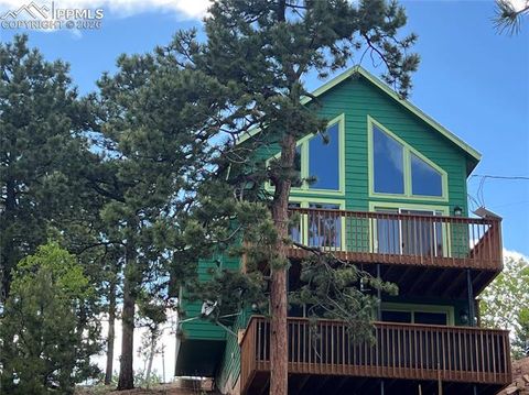 Photo of 80 Potlatch Trail, Woodland Park, CO 80863 (MLS # 7894777)