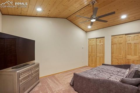 Tiny photo for 80 Potlatch Trail, Woodland Park, CO 80863 (MLS # 7894777)