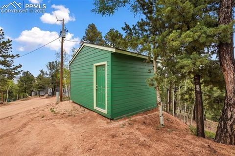 Tiny photo for 80 Potlatch Trail, Woodland Park, CO 80863 (MLS # 7894777)