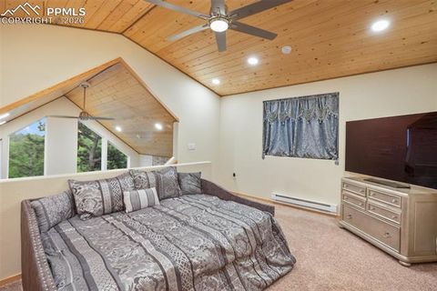 Tiny photo for 80 Potlatch Trail, Woodland Park, CO 80863 (MLS # 7894777)