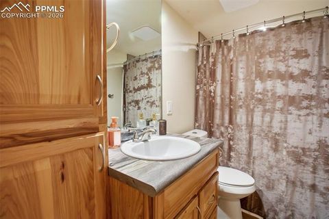 Tiny photo for 80 Potlatch Trail, Woodland Park, CO 80863 (MLS # 7894777)