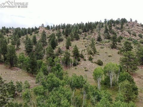 Photo of 76 Crocus Circle, Florissant, CO 80816 (MLS # 1122018)