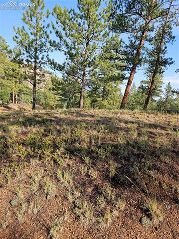 1117 Appleby Drive, Sedalia, CO, 80135 1117 Appleby Drive