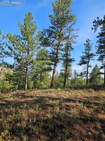 1117 Appleby Drive, Sedalia, CO, 80135 1117 Appleby Drive