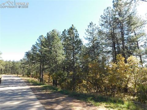 Photo of 682 Copper Fox Place, Larkspur, CO 80118 (MLS # 4720888)