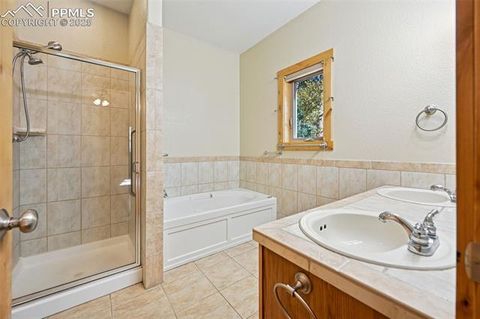 Tiny photo for 145 Elk Grove Lane, Woodland Park, CO 80863 (MLS # 5929222)