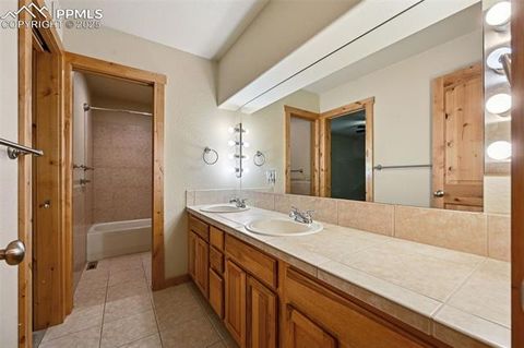 Tiny photo for 145 Elk Grove Lane, Woodland Park, CO 80863 (MLS # 5929222)