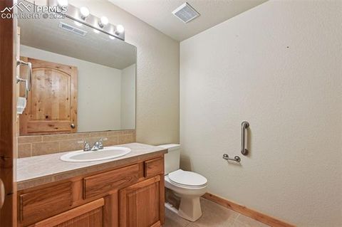 Tiny photo for 145 Elk Grove Lane, Woodland Park, CO 80863 (MLS # 5929222)