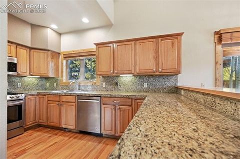 Tiny photo for 145 Elk Grove Lane, Woodland Park, CO 80863 (MLS # 5929222)
