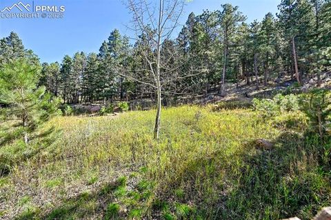 Tiny photo for 145 Elk Grove Lane, Woodland Park, CO 80863 (MLS # 5929222)