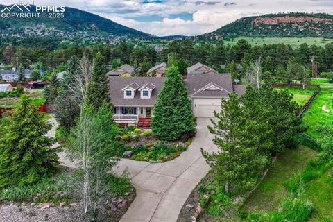 745 Platt Lane Palmer Lake CO 80133