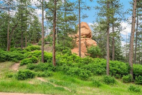 4580 Delaware Drive Larkspur Co 80118