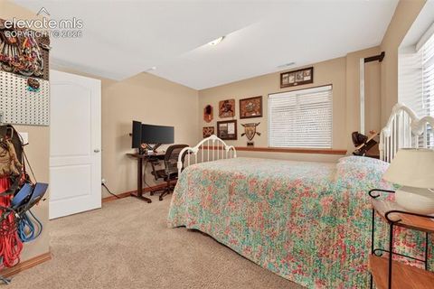 Tiny photo for 2141 Valley View Drive, Woodland Park, CO 80863 (MLS # 6636391)