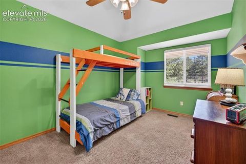 Tiny photo for 2141 Valley View Drive, Woodland Park, CO 80863 (MLS # 6636391)