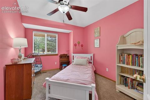 Tiny photo for 2141 Valley View Drive, Woodland Park, CO 80863 (MLS # 6636391)