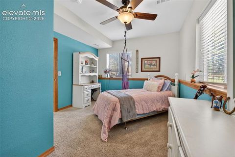 Tiny photo for 2141 Valley View Drive, Woodland Park, CO 80863 (MLS # 6636391)