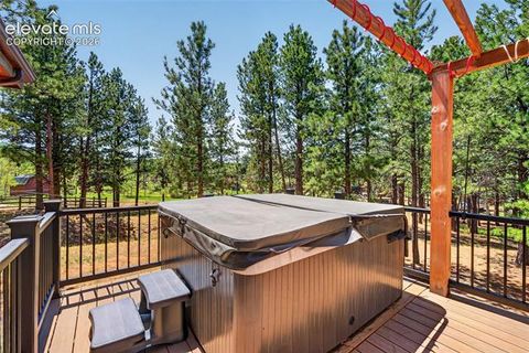 Tiny photo for 2141 Valley View Drive, Woodland Park, CO 80863 (MLS # 6636391)