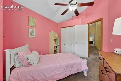 Tiny photo for 2141 Valley View Drive, Woodland Park, CO 80863 (MLS # 6636391)