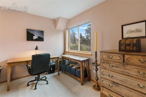 Tiny photo for 996 Spring Valley Drive, Divide, CO 80814 (MLS # 6020853)