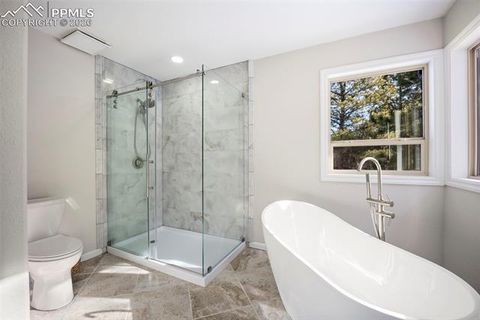 Tiny photo for 33 Stillforest Lane, Woodland Park, CO 80863 (MLS # 1148706)