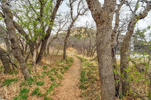 Tiny photo for 284 Crystal Park Road, Manitou Springs, CO 80829 (MLS # 1871299)