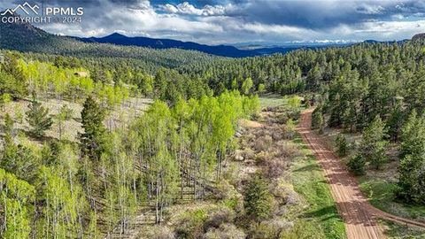 Photo of 649 Pinon Lane, Florissant, CO 80816 (MLS # 2300752)