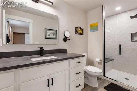 Tiny photo for 118 E Chester Avenue, Woodland Park, CO 80863 (MLS # 8346801)