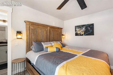 Tiny photo for 118 E Chester Avenue, Woodland Park, CO 80863 (MLS # 8346801)