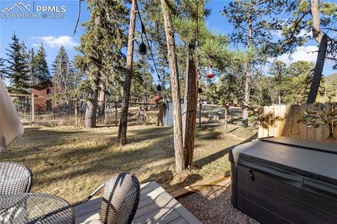 Tiny photo for 118 E Chester Avenue, Woodland Park, CO 80863 (MLS # 8346801)